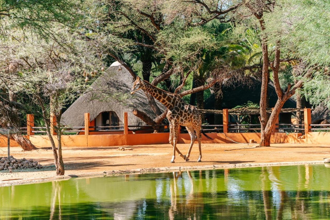 Omaruru Game Lodge Extérieur photo