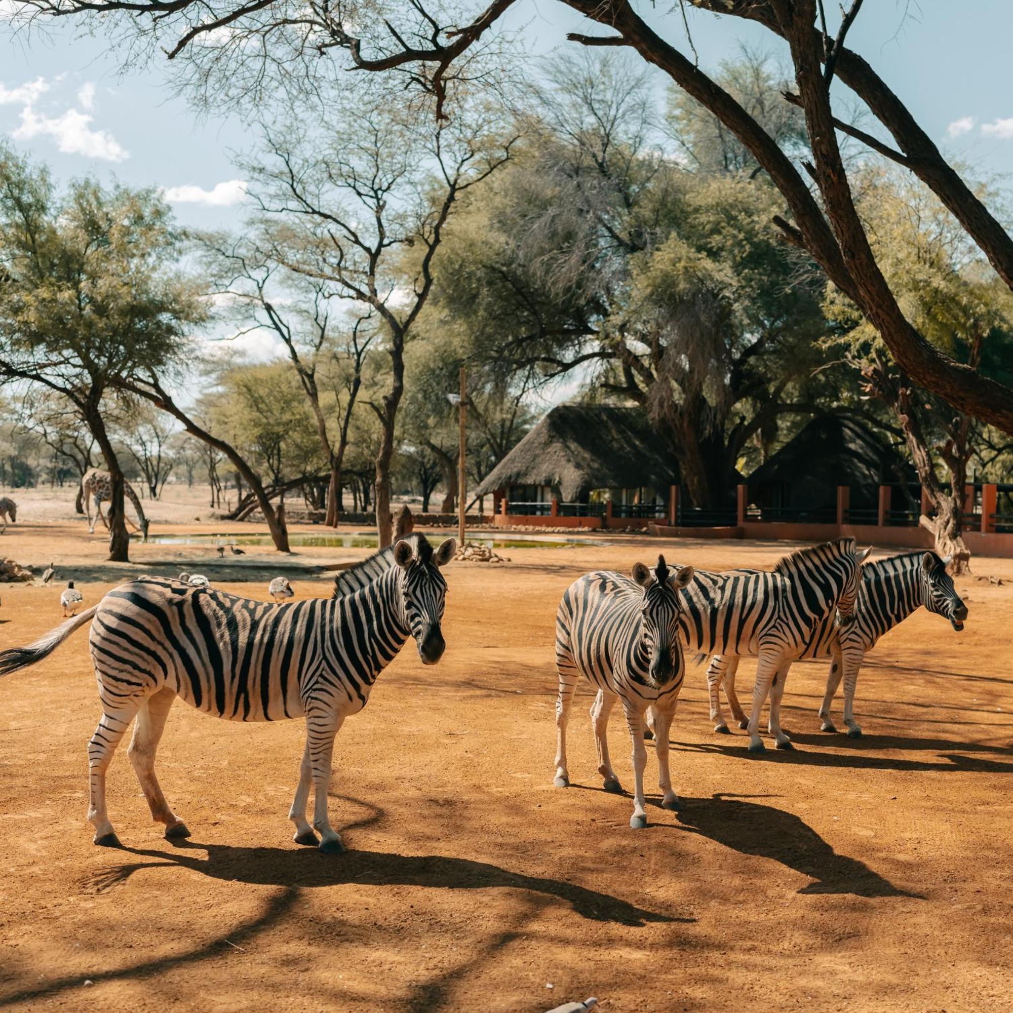 Omaruru Game Lodge Extérieur photo